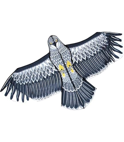 Amazon.co.jp: TeFuAnAn 凧揚げ カイト 鷹 カイト鷹 鳥よけ 鳥よけ